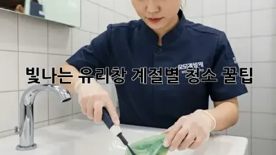 빛나는 유리창, 계절별 청소 꿀팁! ✨